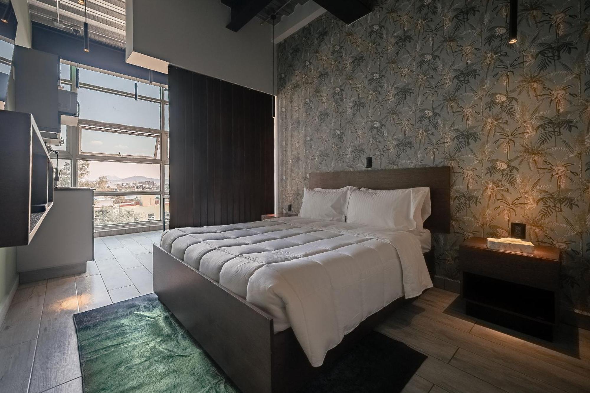 The Jungle Loft Tropical Comfort In A Centric Location With Kitchen Mexiko-Stadt Exterior foto